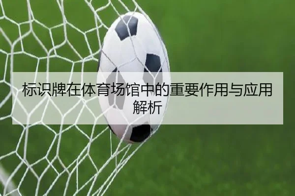 标识牌在体育场馆中的重要作用与应用解析