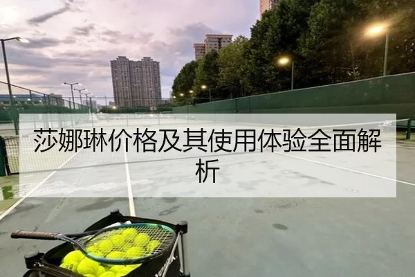 莎娜琳价格及其使用体验全面解析